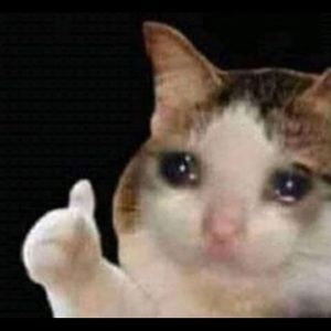 Meet your Posher, Pablo